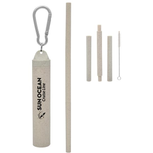 Buildable Wheat Straw Kit In Travel Case